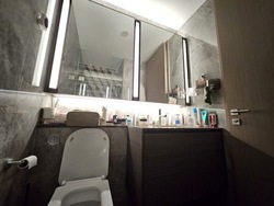 Leedon Green (D10), Condominium #530746661